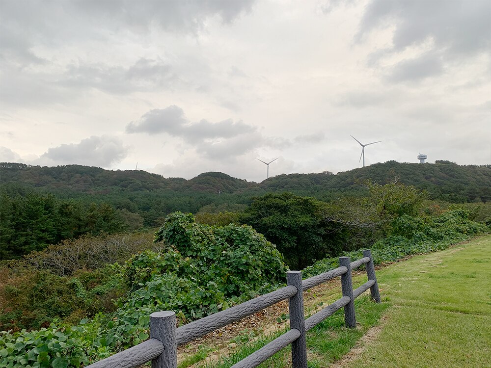 ウェスパ椿山の景色